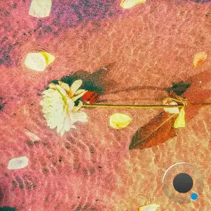 Aname - Malibu (2025)