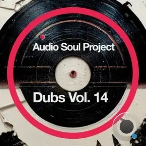 Audio Soul Project - Dubs Vol 14 (2025)