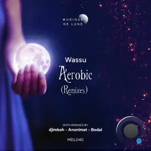Wassu - Aerobic Remixes (2025)
