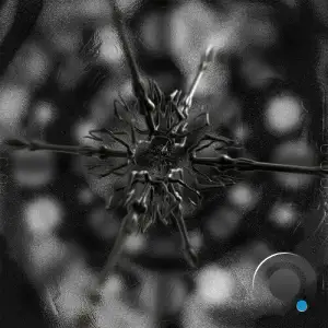 Desirée Falessi - Obsidian (2025)