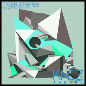 Tiger Stripes - You Are Sleeping (2025)