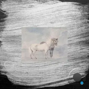 Horses, Not Waving - Every Dumb Thing I Ever Did (2025)