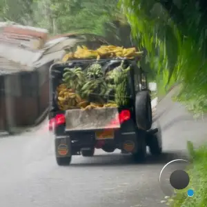 no pare, sigue sigue 4 (2025)