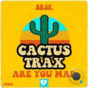 BRSK - Are You Mad (2025)