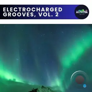 Electrocharged Grooves, Vol. 2 (2025)