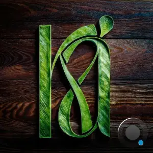 LARSa - After The Rave (2025)