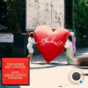 Raye - Where is my husband! (Remix) (2025)