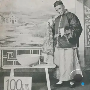 R.A.P. Ferreira, Kenny Segal, Milo - The Night Green Side of It (2025)