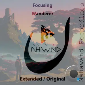 Focusing - Wanderer (2025)