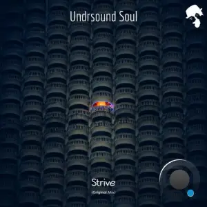 Undrsound Soul - Strive (2025)