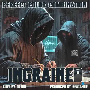 Perfect Color Combination X Beatahoe - Ingrained (2025)