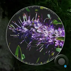 Mauro Arriagada - Come Back (2025)