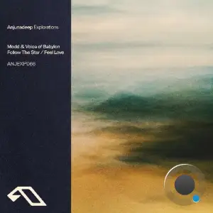 Modd & Voice of Babylon - Follow The Star / Feel Love (2025)