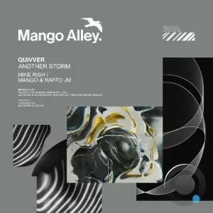 Quivver - Another Storm (2025)