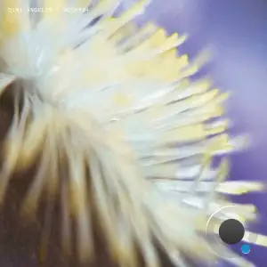 Dimi Angélis - NECH034 (2025)