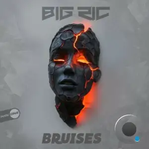 Big RIC - Bruises (2025)