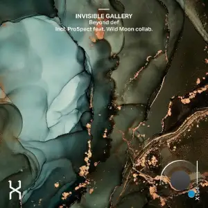 Beyond Def, PRO5PECT, Wild Moon - Invisible Gallery (2025)