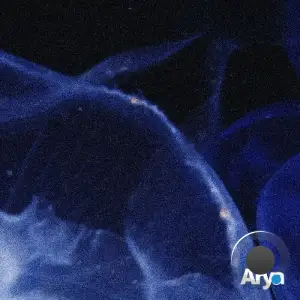 Adrian Skiba - Shades (2025)