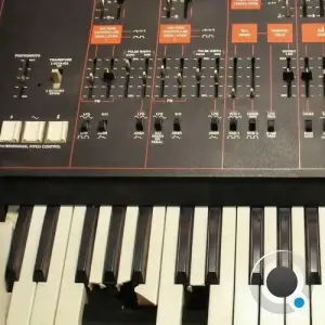 David Oblivion - Adrenaline Junkie (2025)