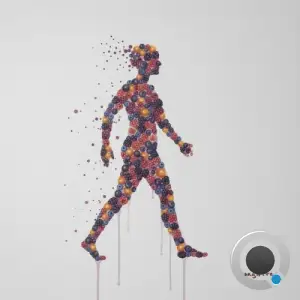 Amir Telem - Going North (2025)