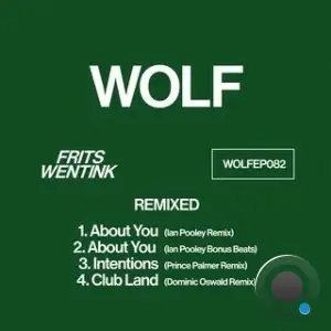Frits Wentink - Remixed (2025)