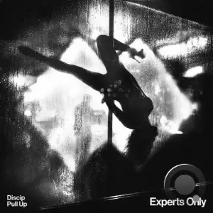 Discip - Pull Up (2025)