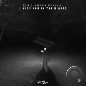 Blr & Amber Revival - I Miss You In The Nights (2025)