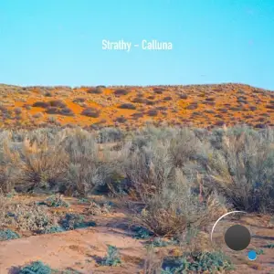 Strathy - Calluna (2025)