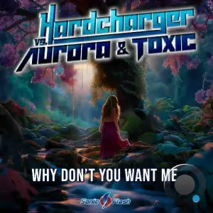 Hardcharger vs. Aurora & Toxic - Why Don't You Want Me (2025)