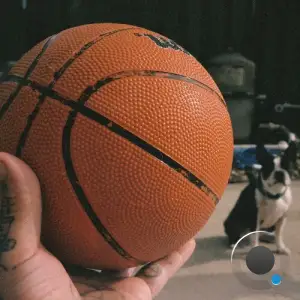 sleepingdogs (Andrew & Jesse The Tree) - Television Dinner (Chong Wizard Remix) (2025)