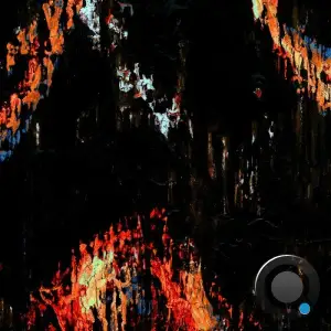 Steve Bicknell - Inchoate Form (2025)