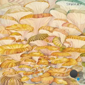 Shwamp - Leap (2025)