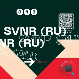 SVNR (RU) - Mood (2025)