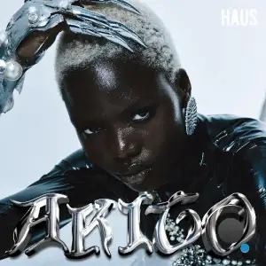 Anturage, Alexey Union, Kinky Sound & Violetta Dj - Akito (2025)