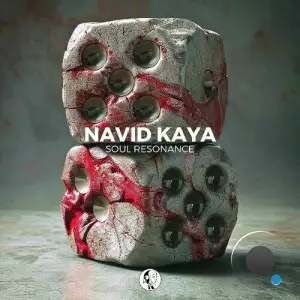 Navid Kaya - Soul Resonance (2025)