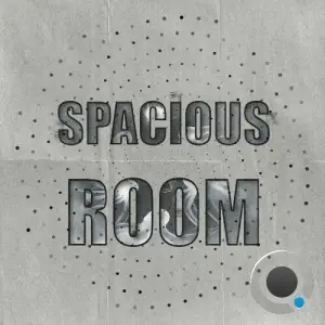 TINYgiant - Spacious Room, Vol. 12 (2025)