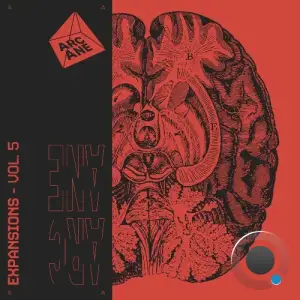 Expansions, Vol. 5 (2025)