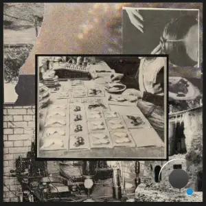 Vladmir - Insist On Reform (2025)