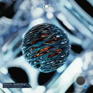 Special Ingredient - Molecules / Push It (2025)