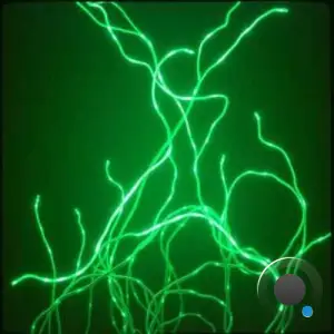 ADN - Bioelectric Dream (2025)