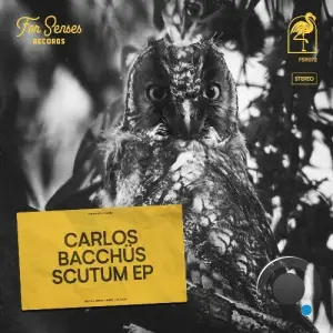 Carlos Bacchüs - Scutum (2025)