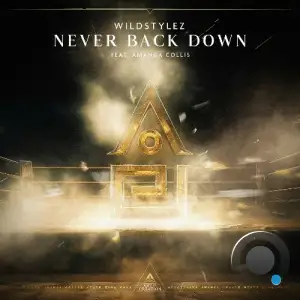 Wildstylez Ft. Amanda Collis - Never Back Down (2025)