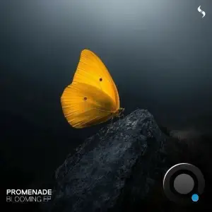 Promenade - Blooming (2025)