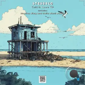 STES8410 - Call It Love (2025)