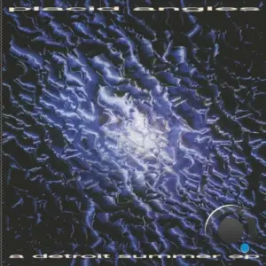 Placid Angles - A Detroit Summer (2025)