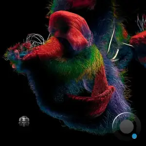 HANN;ES - Faraway (2025)