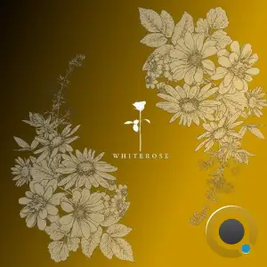 Talal - Delta (2025)