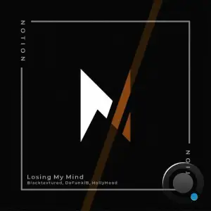 HollyHood, Blacktextured & DaFunkiB - Losing My Mind (2025)