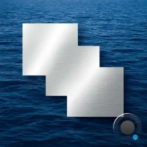 Catch The Tail - New Order (2025)