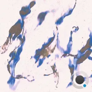 Sonn Ten - Altered Forms (2025)